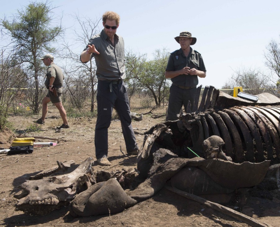 02 12 2015 Kruger National Park South Africa Prince Harry visits a poaching crime scene with a