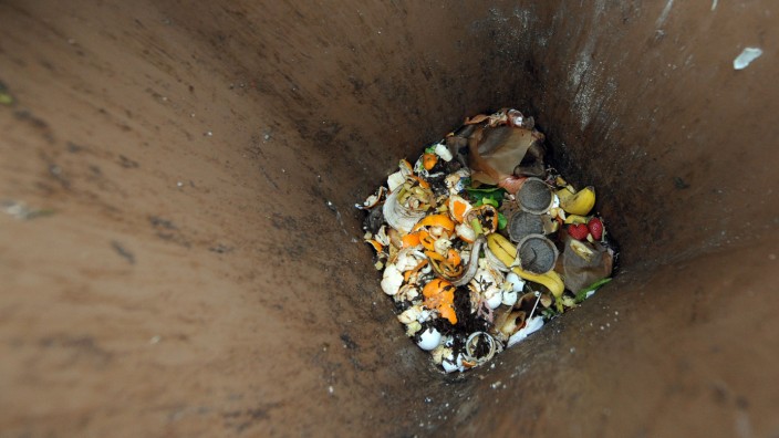Biomüll-Tonne - aus Bio-Abfall lässt sich leicht umweltfreundliche Energie gewinnen.