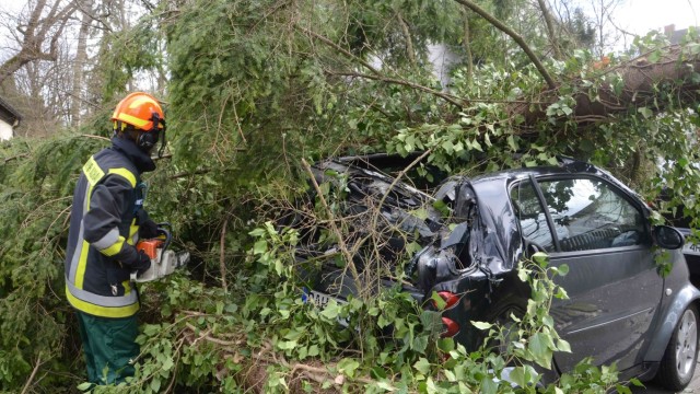 2. Quartal April bis Juni: Orkan "Niklas" reißt in der Sankt-Peter-Straße Bäume um.
