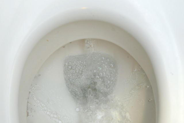 Toilettenschüssel, 2009