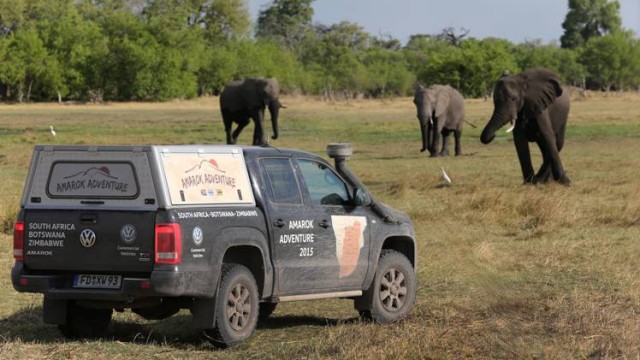 Offroad durch Afrika: Elefanten bekommen Autofahrer in Deutschland eher selten zu sehen.