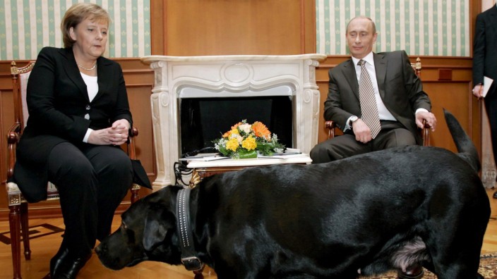 Russland-Politik: Beim Besuch Merkels in Sotschi ließ Putin seinen schwarzen Labrador Koney vor der Kanzlerin herumlaufen - obgleich er wusste, dass Merkel Angst vor Hunden hat.