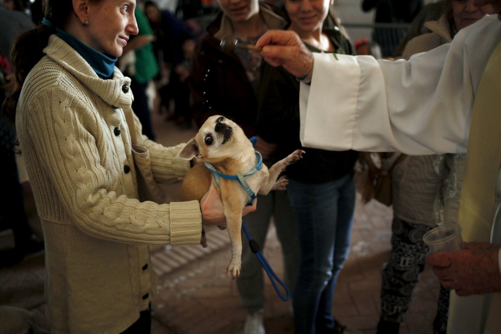 A woman holds her dog as it is blessed by a priest in Benalmadena