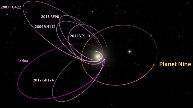Astronomie: Umlaufbahn von Planet 9 (orange) und von mehreren kleinen Objekten am Rande des Kuipergürtels