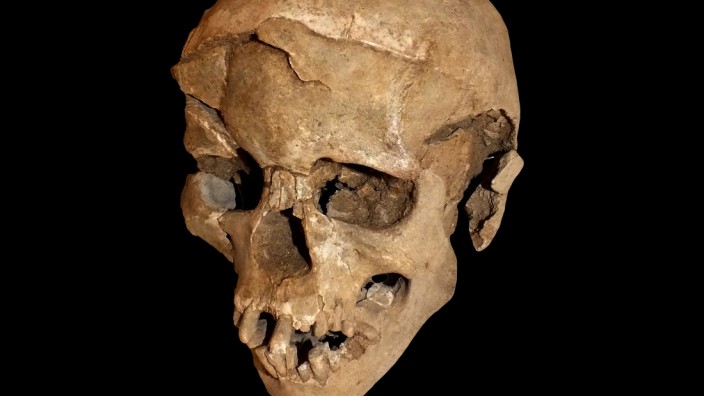 Konfliktforschung: Der Schädel des Mannes, der vor 10 000 Jahren am Turkana-See lebte, wurde gewaltsam zertrümmert.