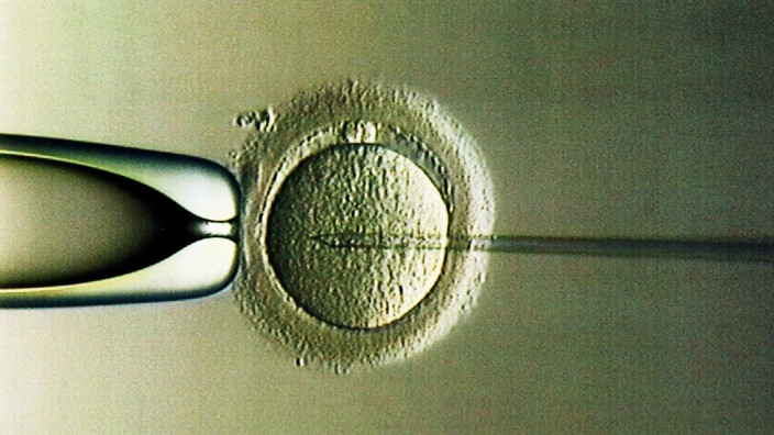 Künstliche Befruchtung - Kritik an Präimplantationsdiagnostik