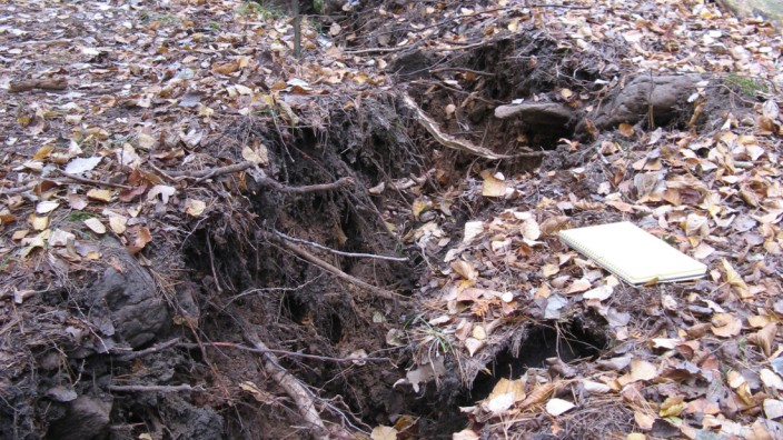 Ominöse Erdspalte: 2010 reißt in einem Wald in Michigan die Erde auf.