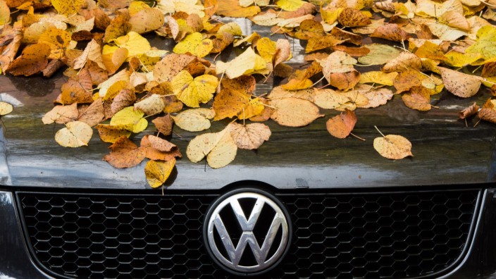 VW im Herbst