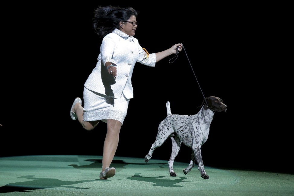 Handler Atkinson runs with CJ at the Westminster Kennel Club Dog show at Madison Square Garden in New York