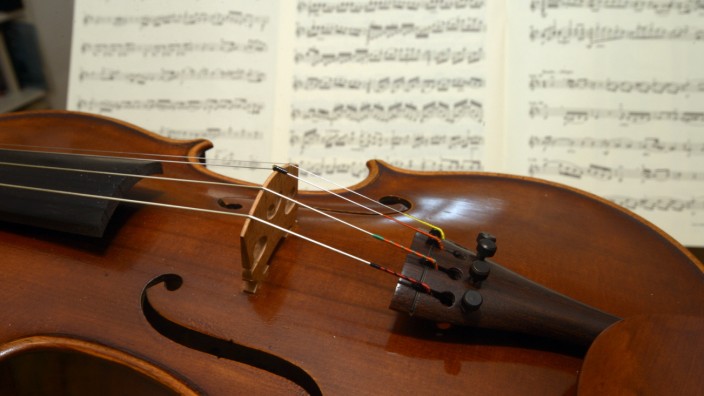 Geige, 2013