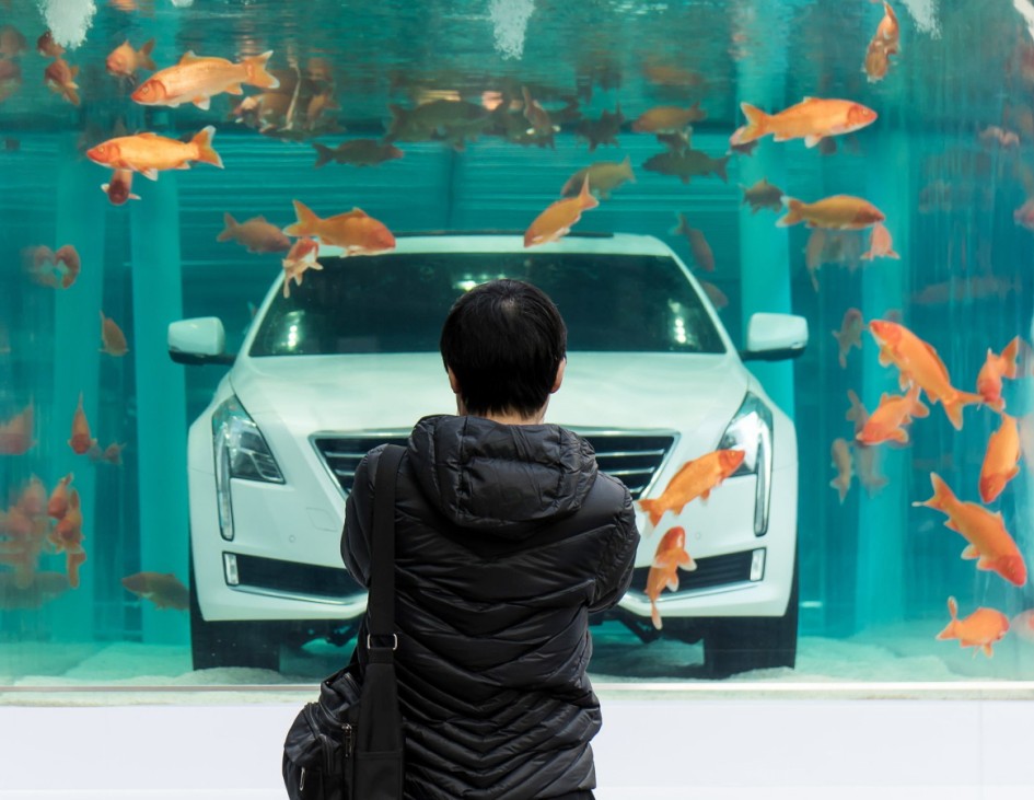 A man looks at a Cadillac CT6 displayed inside a fish tank during an event promoting the car's environmental-friendly features, in Shanghai