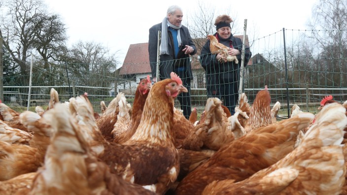 Rewe: Karl Seidl, Lokalitätsbeauftragter der Supermarktkette Rewe, hat den Bauernhof von Lydia Lochinger und ihre gut 600 Hühner besucht. Lochinger beliefert den Konzern mit Eiern.