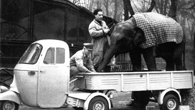 60 Jahre Piaggio Ape: Wenn es sein musste, transportierte die Ape auch schwerere Dinge ...