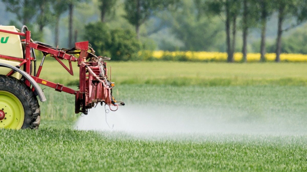 Pesticide industry must be liable for damage in the organic sector – economy