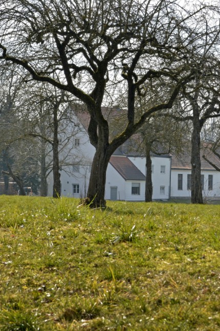 Adelshofen: "Das uralte Herz Adelshofens", sagt die Interessengemeinschaft über den Klostergarten.