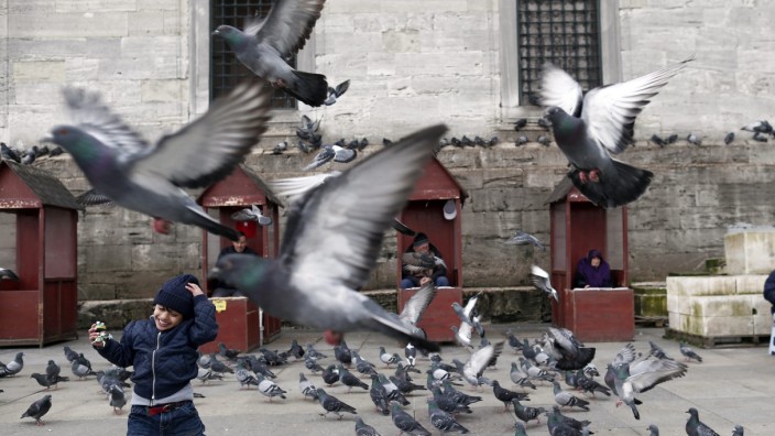 Daily life in Istanbul