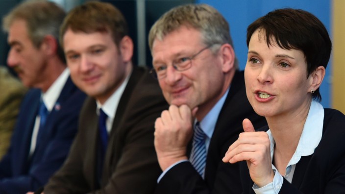 Rechtspopulismus: AfD-Politiker von links nach rechts: Uwe Junge, André Poggenburg, Jörg Meuthen und Frauke Petry.