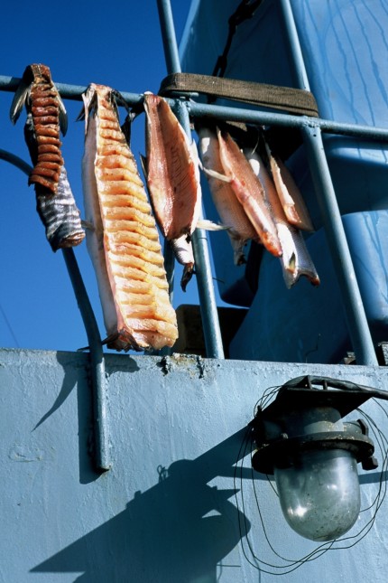 Filmdokumentation: Trockenfisch ist das Brot der Nordländer. In der zwölfstündigen Nordmeer-Meditation "Chamissos Schatten" geht es auch um Fischfang und Fischereirechte.