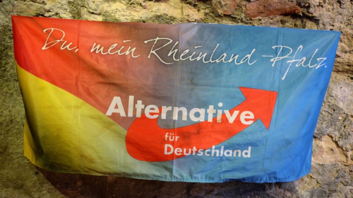 AfD in Rheinland-Pfalz