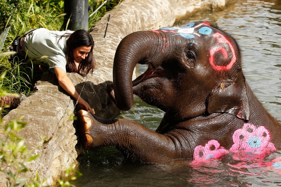 Taronga Zoo Celebrates Thai Songkran New Year Festival