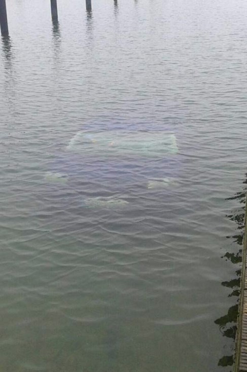 VW-Transporter schwimmt im Hafenbecken