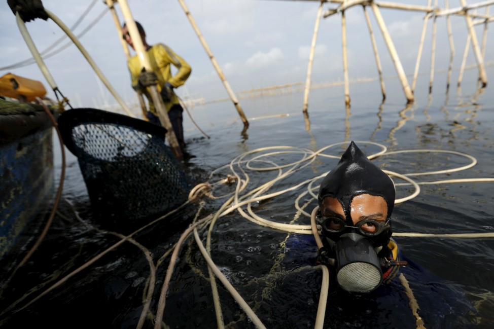 Eghy uses his makeshift snorkel as his colleague lifts up green mussels to their boat in Jakarta Bay