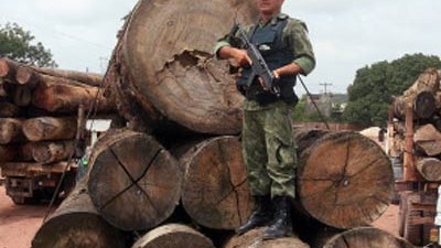 Holzindustrie: Ein Militärpolizist überwacht beschlagnahmtes Holz im Bundesstaat Pará. Die Weltbank schätzt einen jährlichen Schaden von fünf Milliarden Dollar für die betroffenen Staaten.