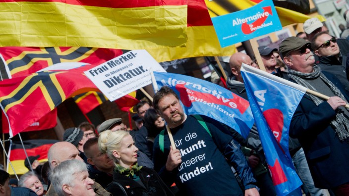 AfD-Demonstration in Stralsund