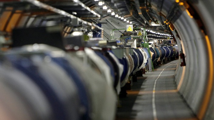 Kurzschluss: Ein Wiesel hatte den LHC vorübergehend außer Gefecht gesetzt.