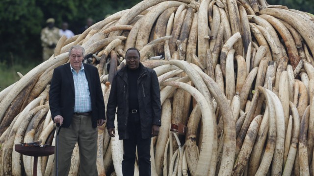 Kenya burns 105 tonnes of ivory