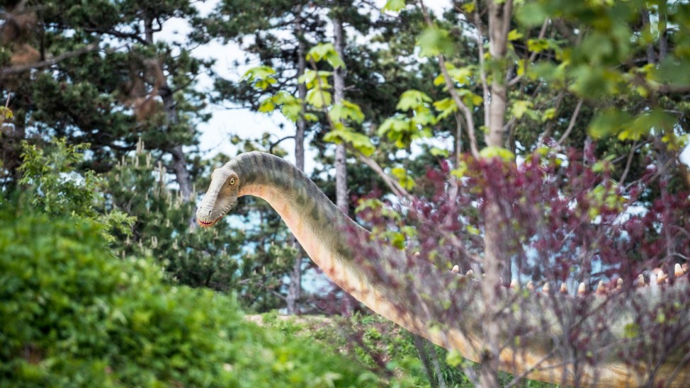 Dino park opens in Veszprem
