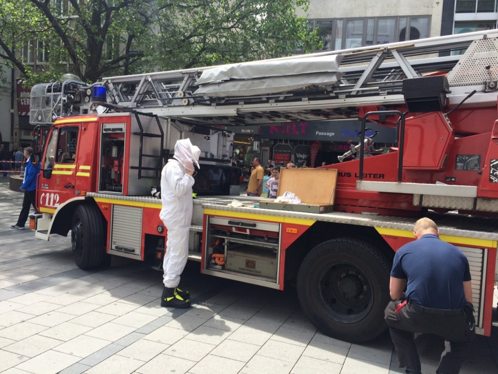 Feuerwehr entfernt Bienen aus der Münchner Fußgängerzone