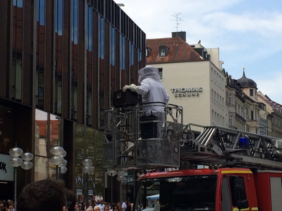 Feuerwehr entfernt Bienen aus der Münchner Fußgängerzone
