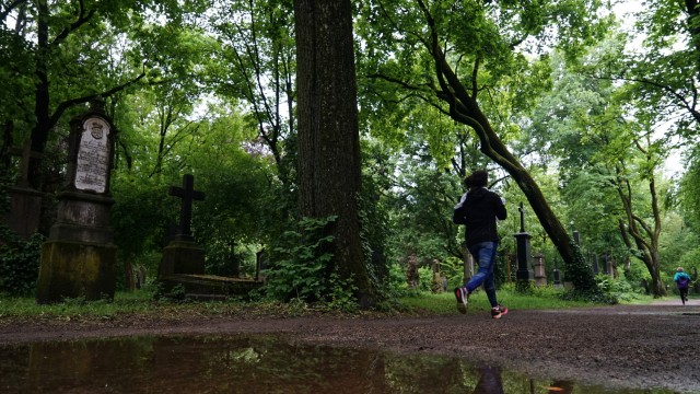 Maxvorstadt: Der alte Nordfriedhof gehört zu den wenigen grünen Inseln in der stark versiegelten Maxvorstadt.
