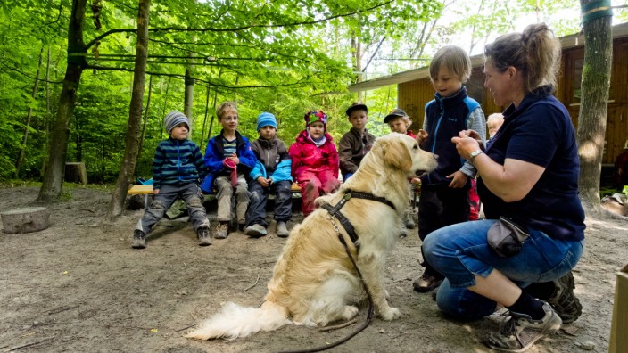 Mit dem Hund in den Kindergarten: Charly will nur spielen: Der Golden Retriever verdient sich mit seinem gutmütigen Verhalten viele Leckerchen.