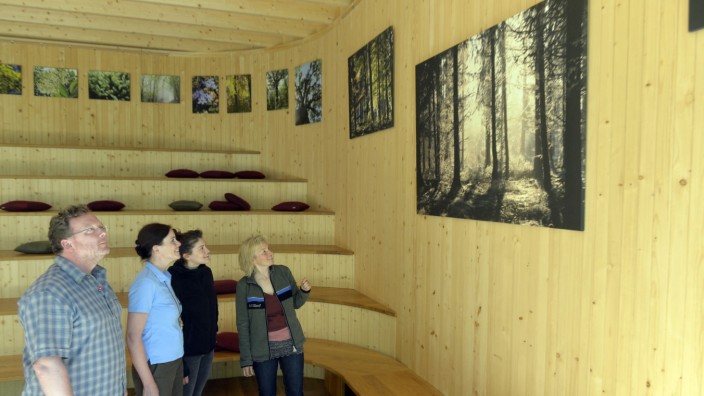 Grünwald: Amphitheater in Miniaturgröße: Die Bilder von Kirsten Joas sind im liebevoll gestalteten Pavillon des Walderlebniszentrum ausgestellt.