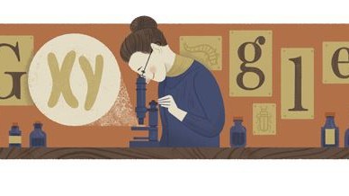 Google Doodle: Google Doodle zu Ehren von Nettie Stevens