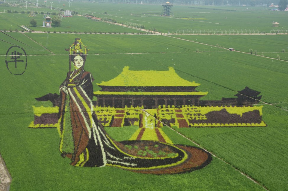 Rice saplings of different colours and varieties are planted to form a 3D image of Mi Yue, a character from the TV series 'The Legend of Mi Yue', at a rice paddy field in Shenyang