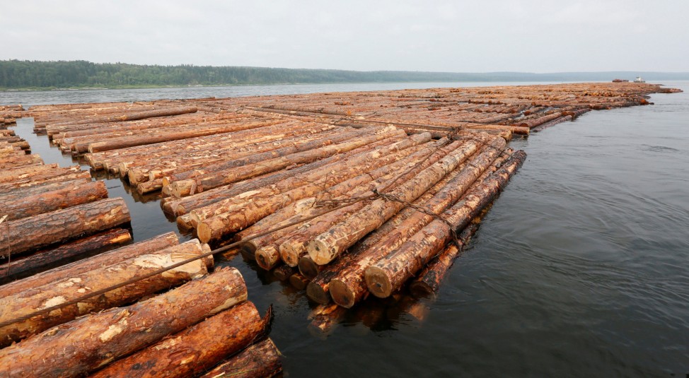 Timber raft is transported down Angara river in Krasnoyarsk region