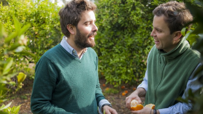 Orangen-Anbau in Spanien: Die beiden Firmenchefs von El Carmen, die Brüder Gabriel (links) und Gonzalo Úrcolo.