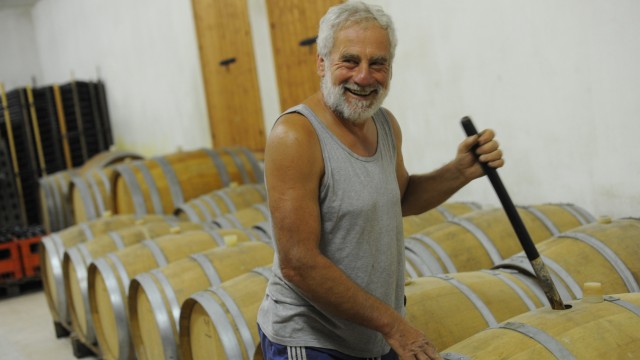Anbau: Winzer Cesare Gozzi produziert gemeinsam mit seinem Bruder Franco 250 000 Liter Wein im Jahr.