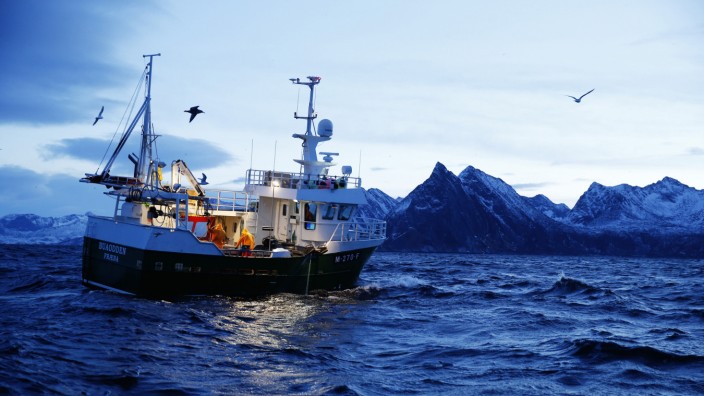 Brexit: Sicher im Nordmeer: Norwegische Fischer sind vor der EU-Konkurrenz geschützt.