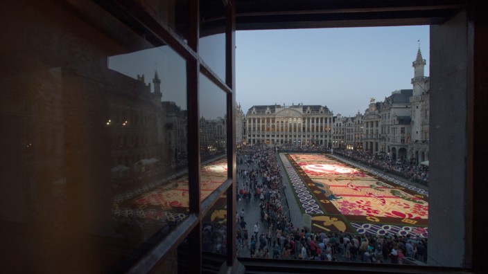 Flower Carpet 2016 In Brussels