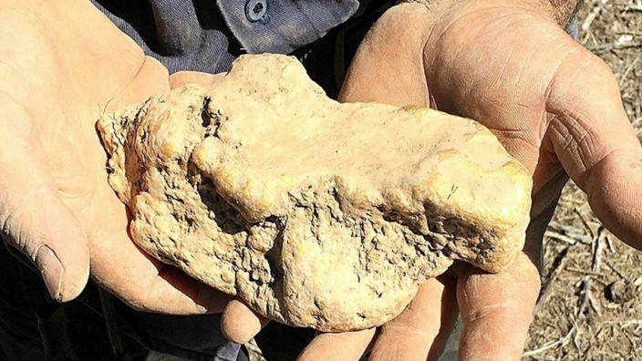145-ounce gold nugget found in Central Victoria's Golden Triangle