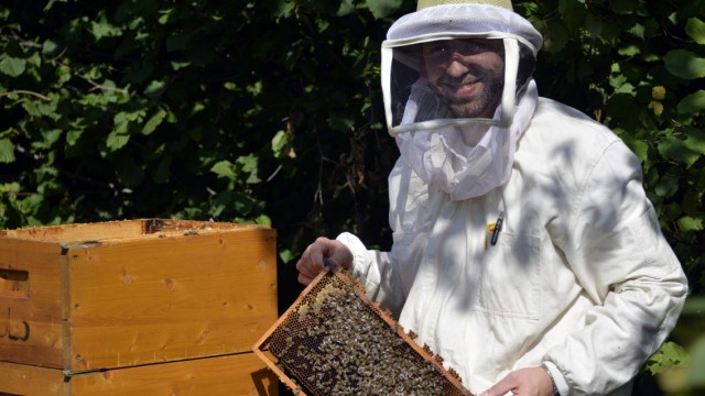 Ottobrunn: Thomas Kolodziej ist mit Bienen aufgewachsen.