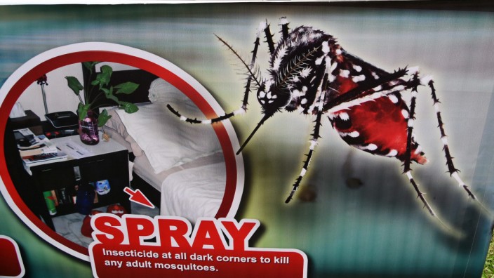 Seuchen: Plakate in Singapur warnen die Einwohner vor Insektenstichen. Sie gelten als die Hauptüberträger der Infektion.