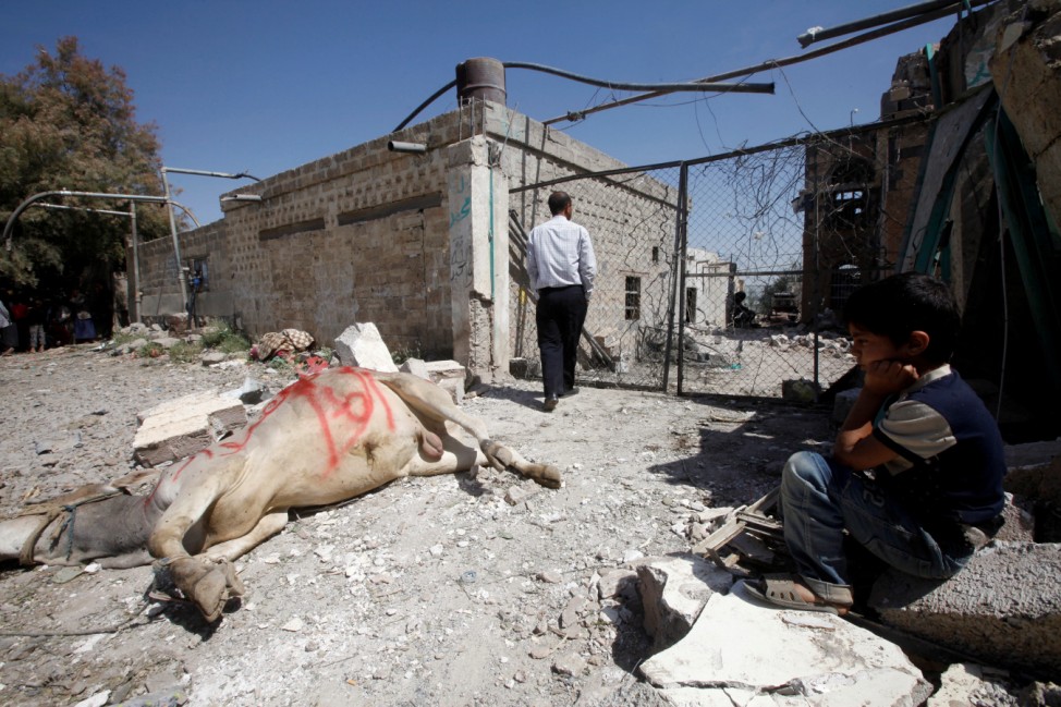 A boy looks at an ox that was killed at a house destroyed by a Saudi-led airstrike in Yemen's capital Sanaa