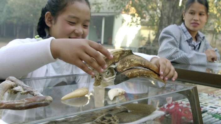 YOUNG GIRL SELLS RARE ANIMAL PARTS AT A MYANMAR MARKET