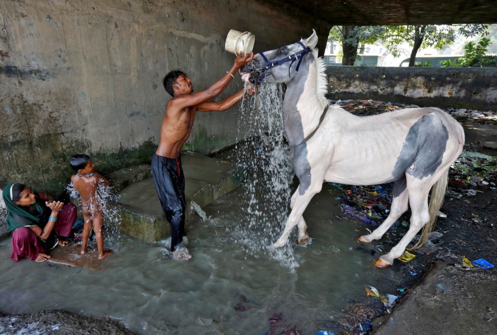 A man washes his horse as a woman bathes her son at concrete water pens under a flyover in a slum area in Kolkata