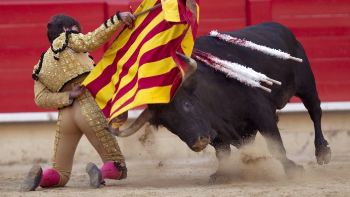 Gericht kippt Stierkampfverbot in Katalonien nach sechs Jahren